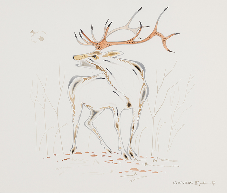 Caribou by Eddy Cobiness