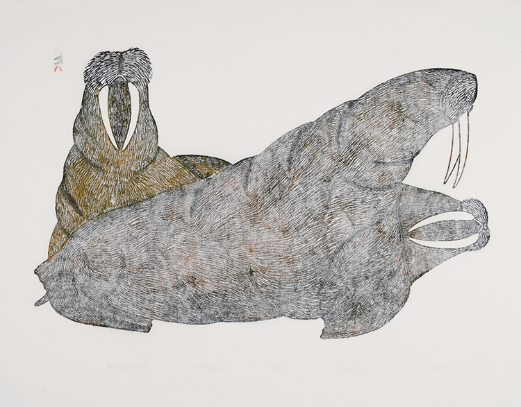 Walrus by Kananginak Pootoogook