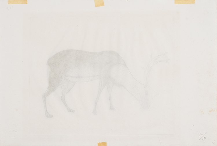 Summer Caribou by Kananginak Pootoogook