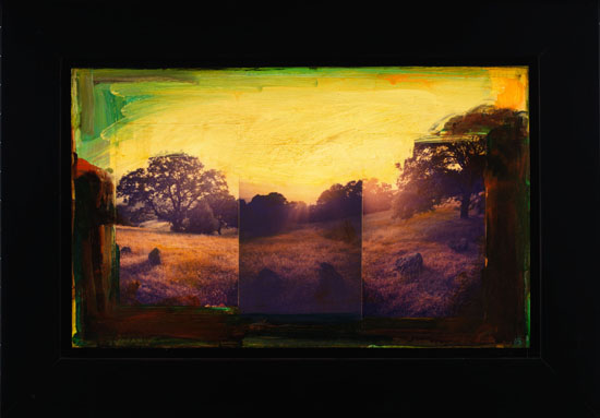 Diablo Memory / Black Oak, Sunset by David Bierk
