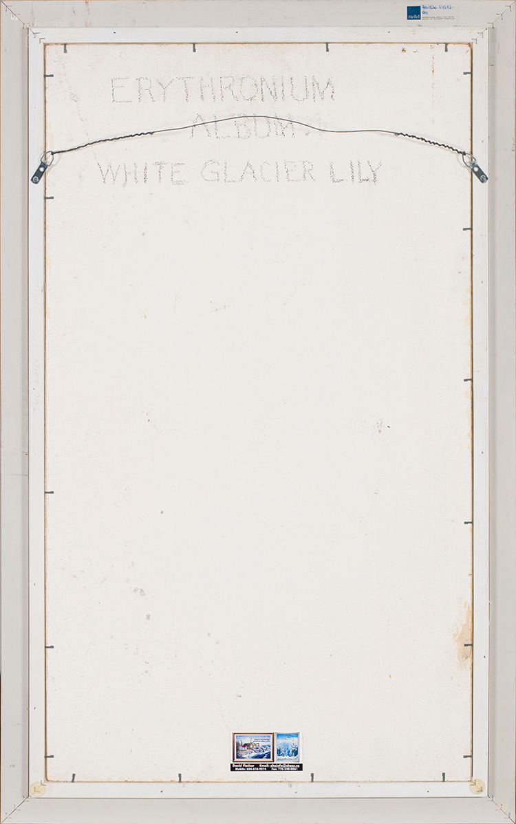 White Glacier Lily par Donald M. Flather