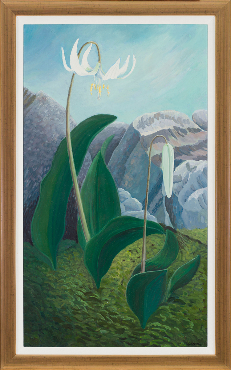 White Glacier Lily par Donald M. Flather
