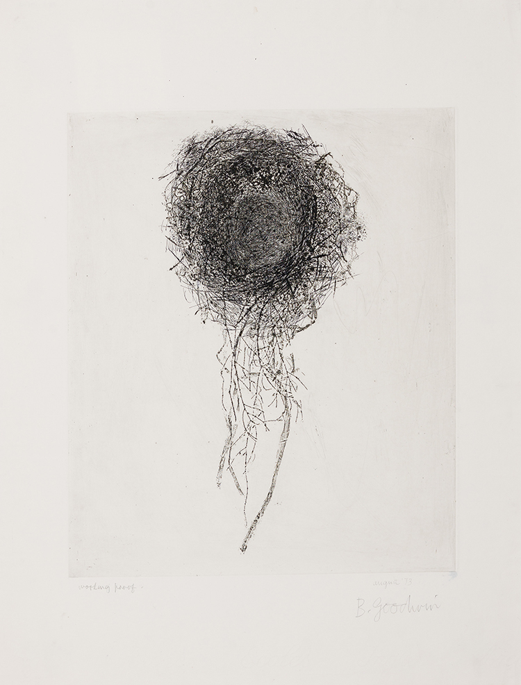Nest with Hanging Grass (Nest Six) by Betty Roodish Goodwin
