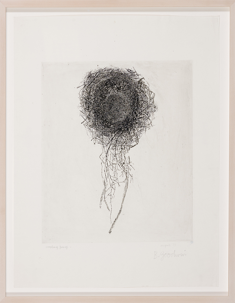 Nest with Hanging Grass (Nest Six) by Betty Roodish Goodwin