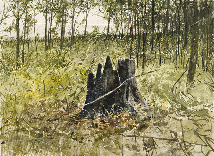 A Grove of Hardwood par Thomas de Vany Forrestall