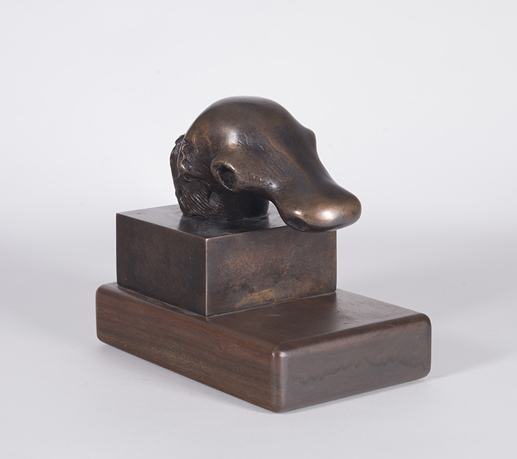 Dog's Head by Henry  Moore
