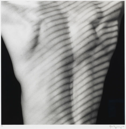 Thomas Mapplethorpe, Robert
