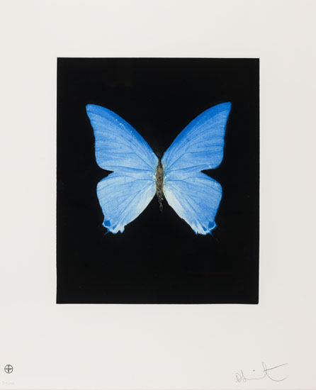 Providence (from the Butterfly Portfolio) par Damien Hirst
