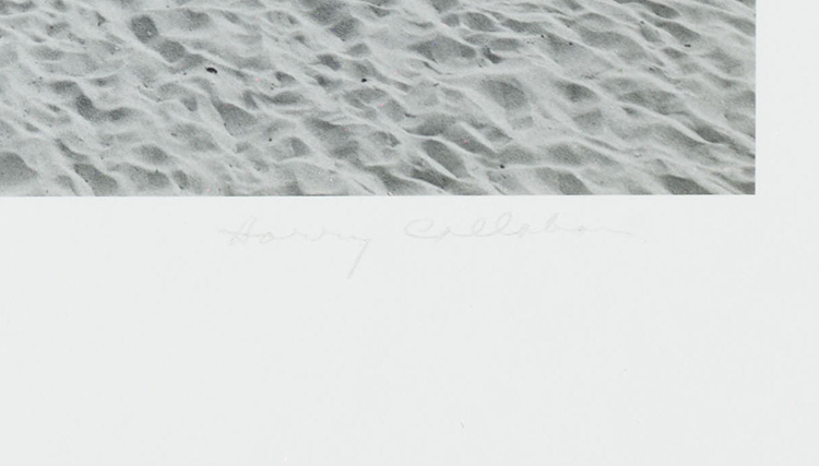 Cape Cod (Volleyball net) by Harry Callahan