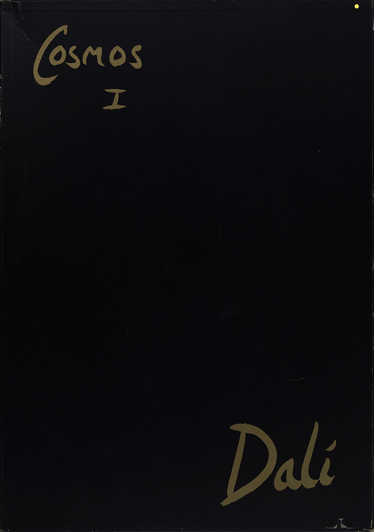 La Conquête du Cosmos I by Salvador Dali