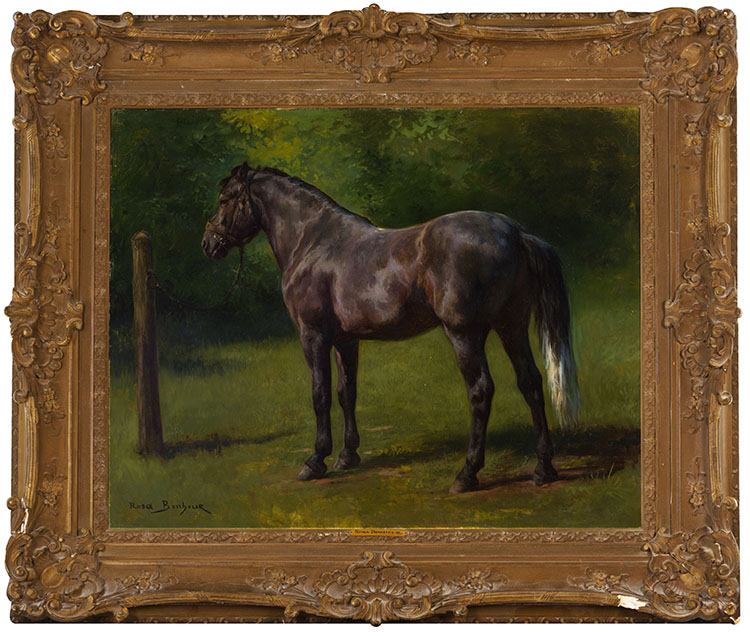 Étude de cheval brun par Rosa (Marie-Rosalie) Bonheur