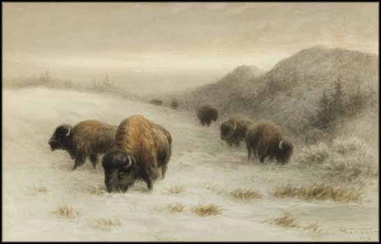 Grazing Buffalo par Frederick Arthur Verner