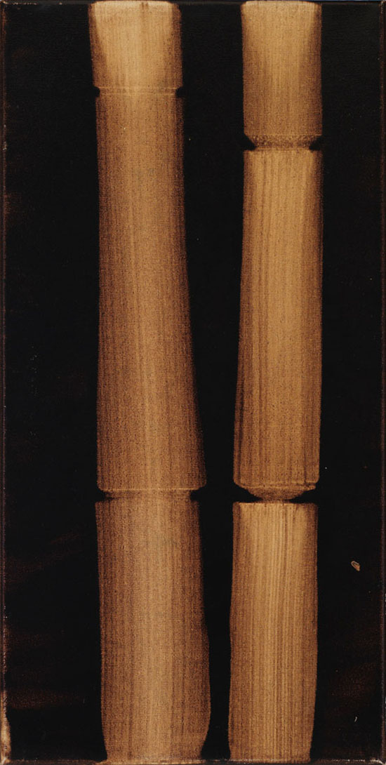 Big Jim (Bamboo Painting) par Attila Richard Lukacs