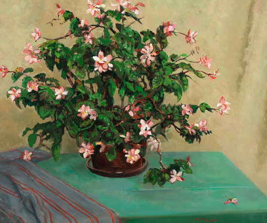 Flowering Begonia Plant by Frederick Bourchier Taylor