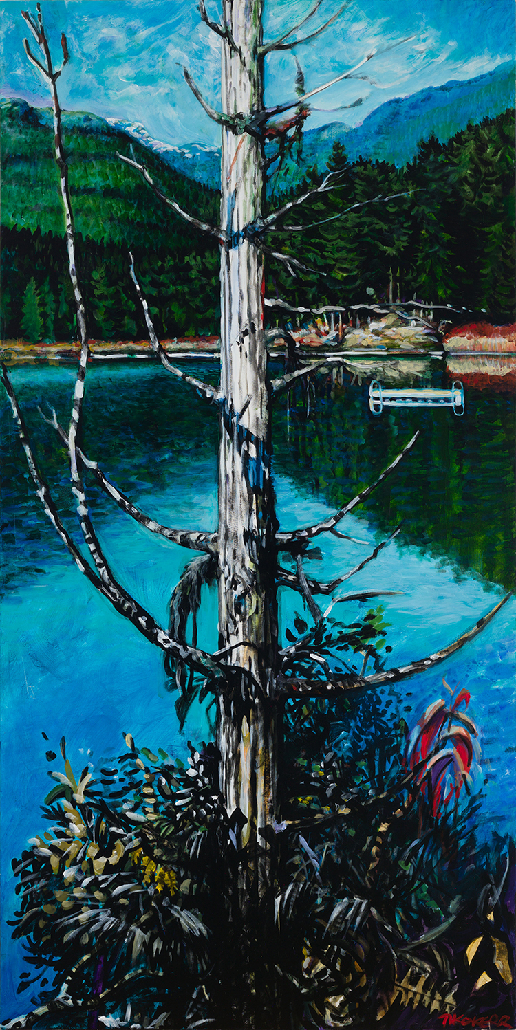 Snag Over Lost Lake by Tiko Kerr