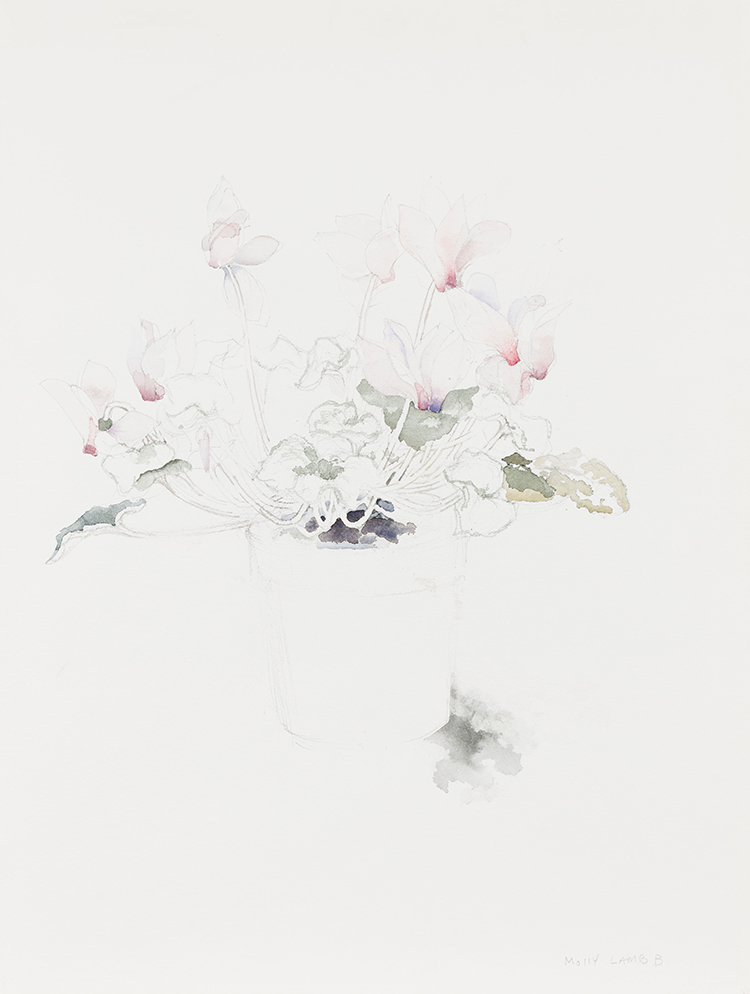 Cyclamen par Molly Joan Lamb Bobak