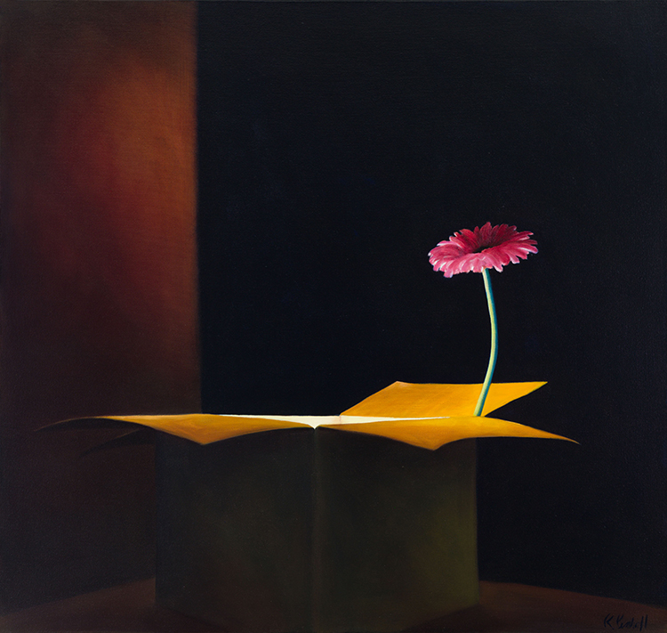 Glowing Box with Gerbera by Ross Penhall