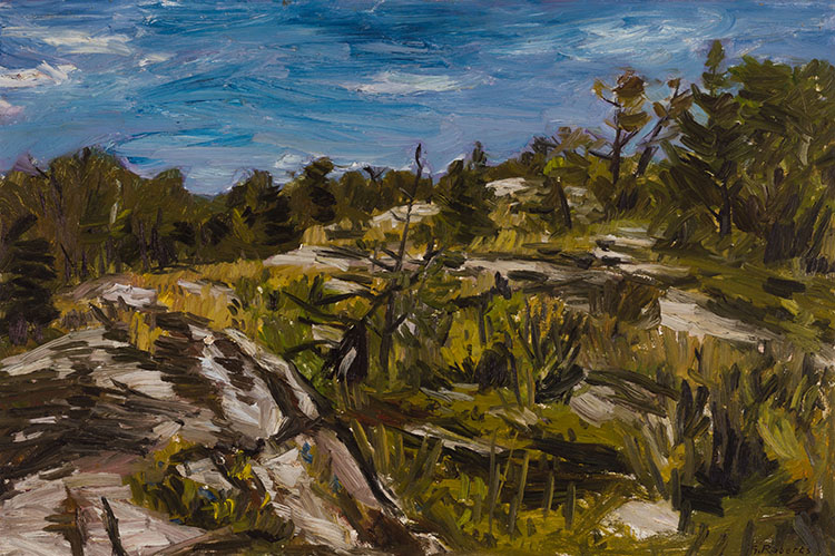 Rocks & Shrubs Georgian Bay by William Goodridge Roberts