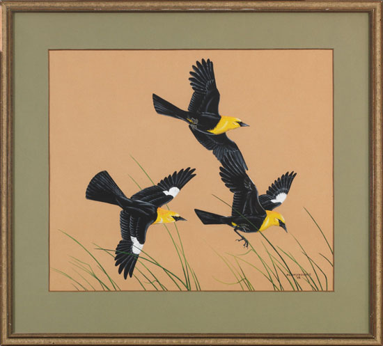 Three Birds by James Fenwick Lansdowne