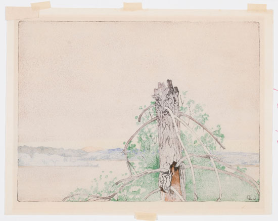 Stump, Lake of the Woods by Walter Joseph (W.J.) Phillips
