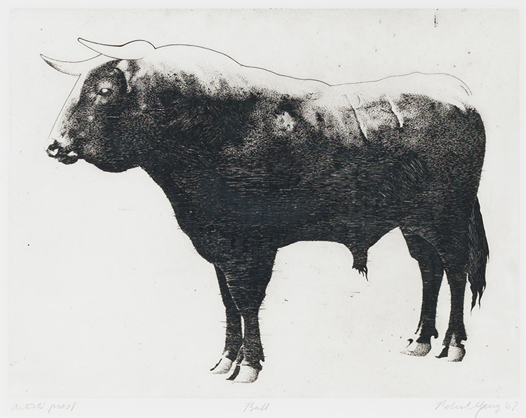 Bull par Robert Young