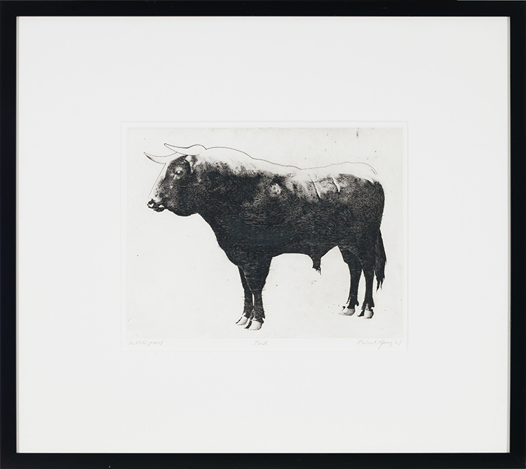 Bull by Robert Young