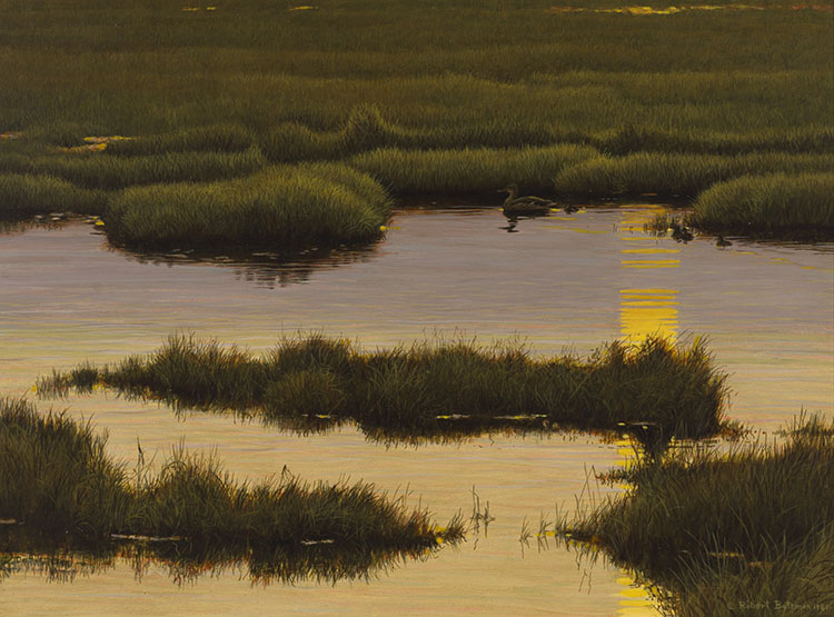 Mallard Family by Robert Bateman