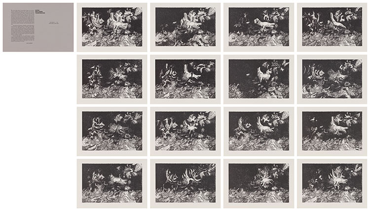 Night Garden Transformations by Jack Leonard Shadbolt