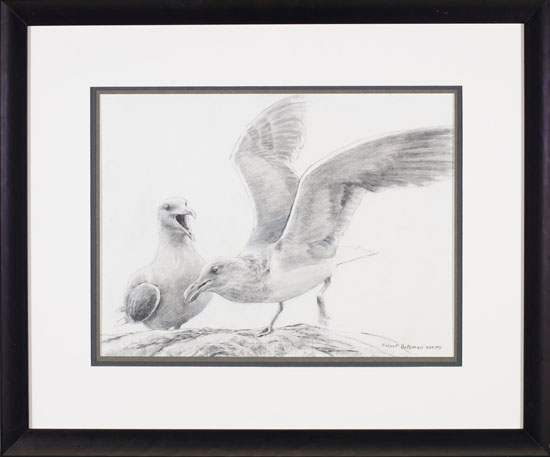 Seagulls by Robert Bateman