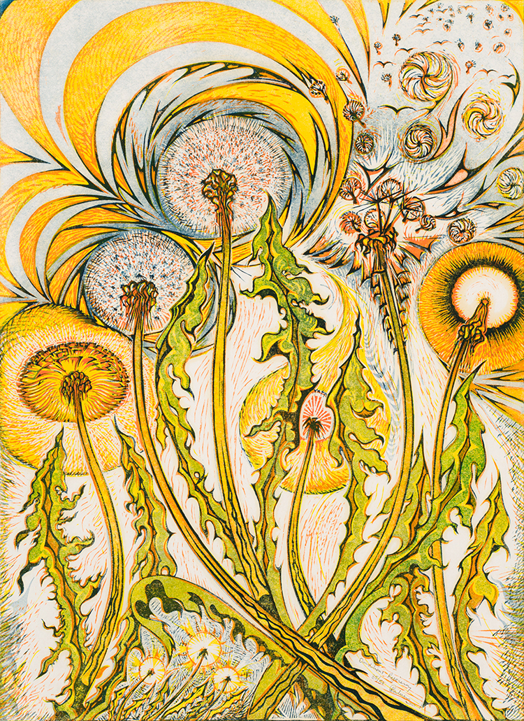 Dandelions Rejoicing by Richard Calver