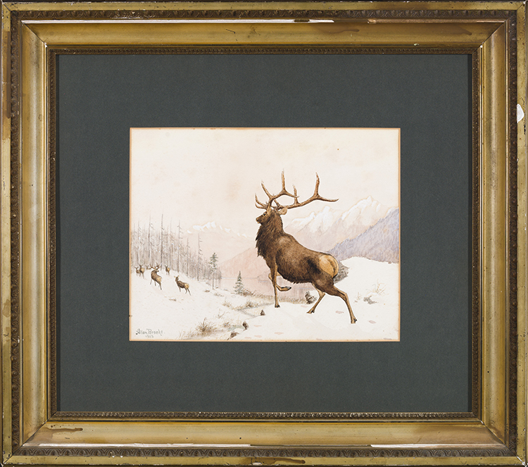 Elk in Snow par Allan Brooks
