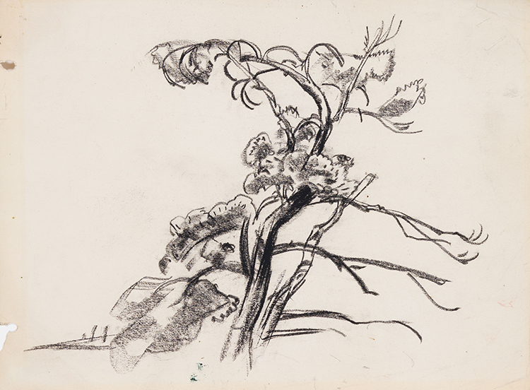 Tree Study par Arthur Lismer