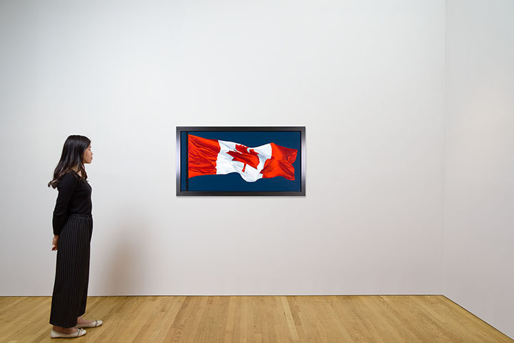 The Painted Flag by Charles Pachter