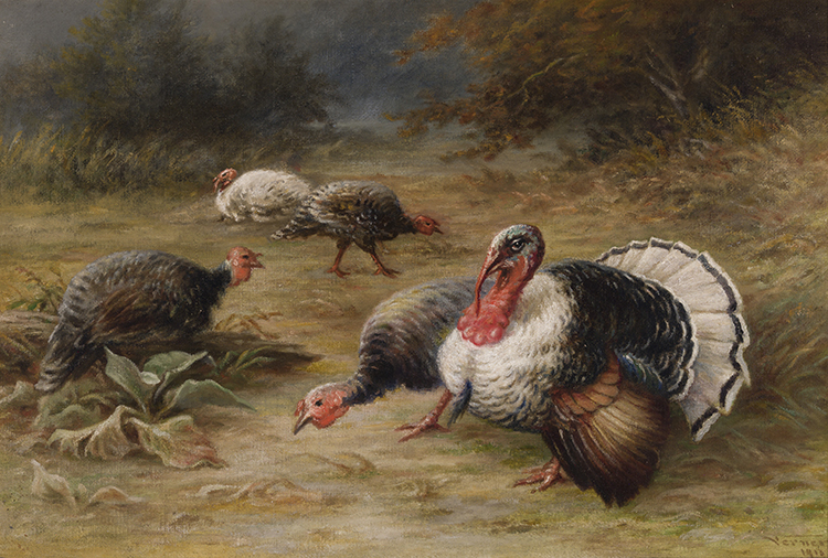 Wild Turkeys in a Clearing by Frederick Arthur Verner