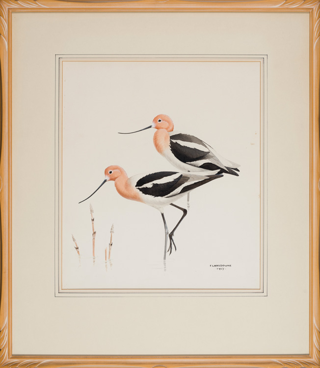 Untitled (Pair of Birds) by James Fenwick Lansdowne