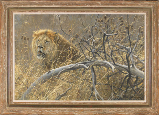 Lions in the Grass by Robert Bateman