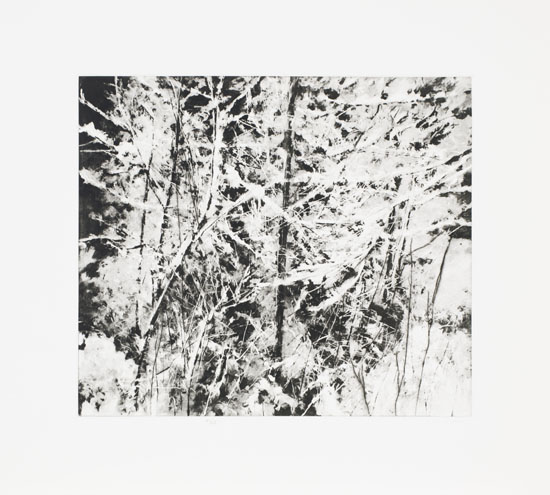 Tangled Snowscene by Gordon Appelbe Smith