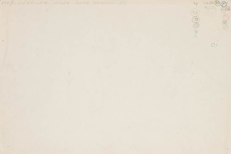 Koksilah River Near Duncan BC by Edward John (E.J.) Hughes