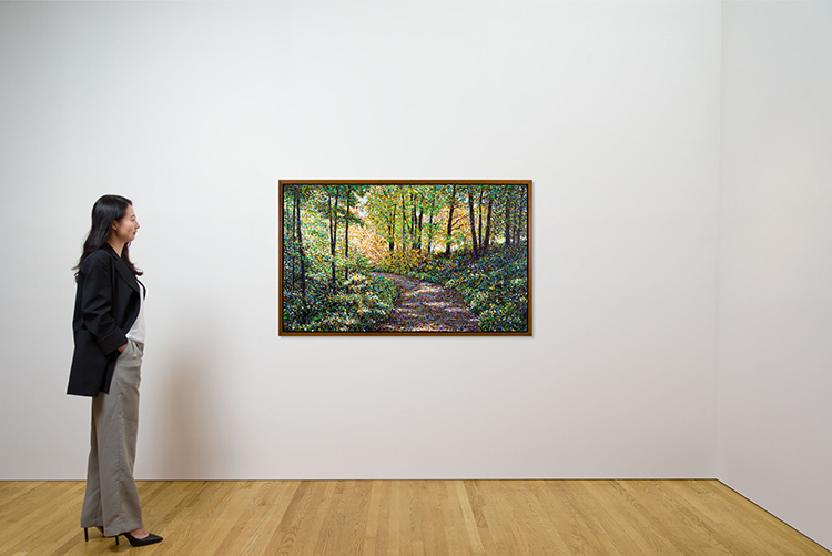 Forest Landscape by Brent McIntosh