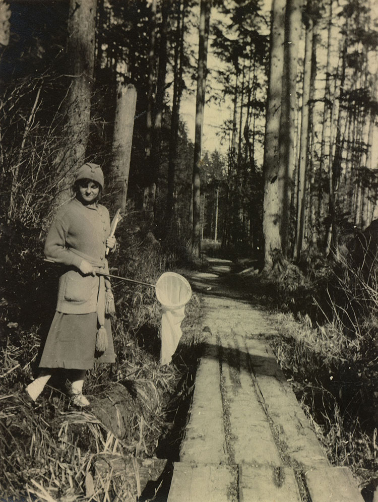 Design Class Exercise by Maud Sherman