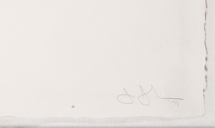 M par Jasper Johns