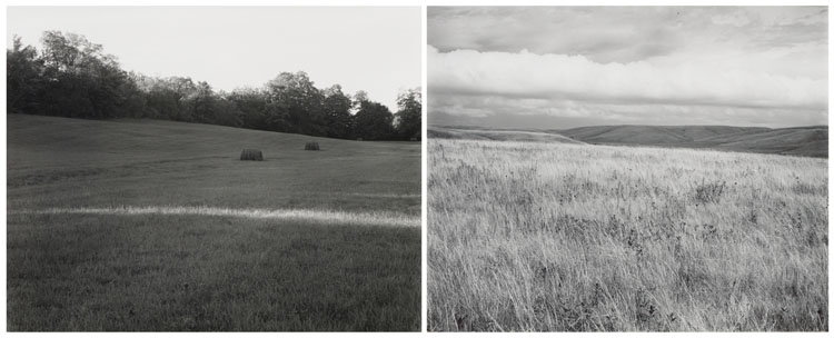 Two Photographs - Meadow, Last Sun and Prairie, Lincoln County, Minnesota par John Szarkowski