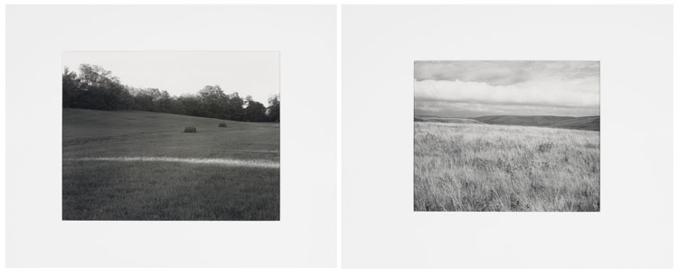 Two Photographs - Meadow, Last Sun and Prairie, Lincoln County, Minnesota par John Szarkowski