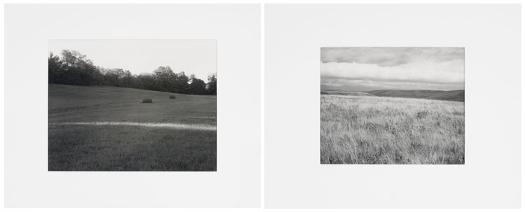 Two Photographs - Meadow, Last Sun and Prairie, Lincoln County, Minnesota by John Szarkowski