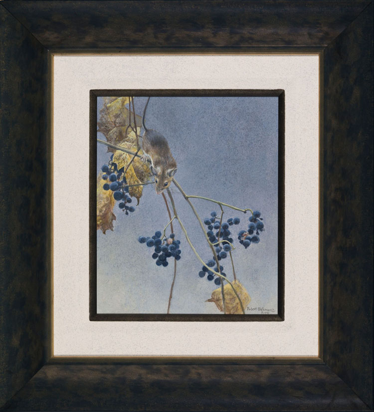 Deer Mouse and Wild Grapes by Robert Bateman