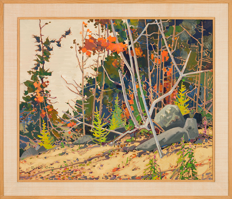 Pattern, Autumn by Robert Genn
