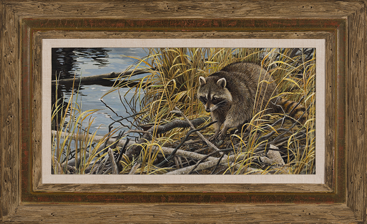 Mischief on the Prowl - Raccoon by Robert Bateman