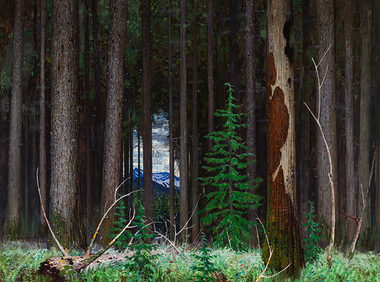 Western Hemlock by George Franklin Arbuckle