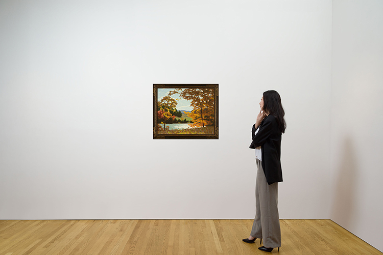Sunshine on Field and Stream by George Thomson