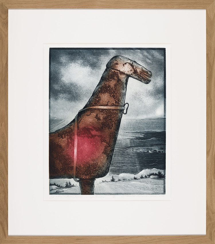 John Stokes Horse: Cape Freels par David Lloyd Blackwood